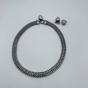 Women’s Stainless Steel Necklace and Earring Set
